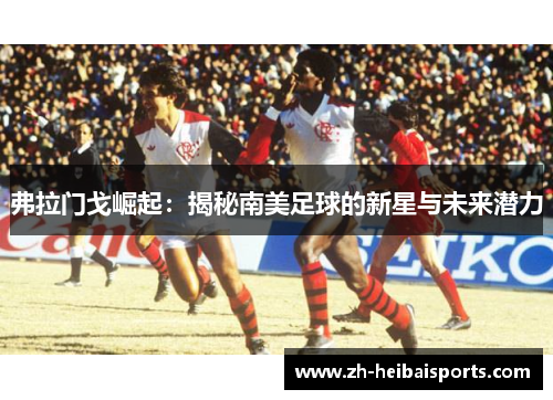 弗拉门戈崛起:揭秘南美足球的新星与未来潜力 弗拉门戈崛起:揭秘南美足球的新星与未来潜力